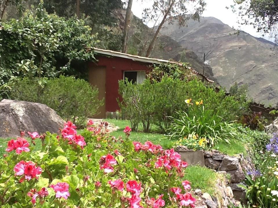 Bed and Breakfast La Casa Del Conde à Pisac Extérieur photo